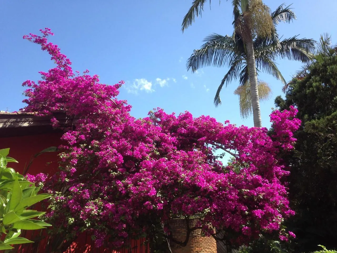 Casa Das Framboesas Bed & Breakfast Porto Alegre